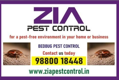 Bed Bugs service near me | Bed Bugs Treatment Up To 30% Off  Residence | 8035